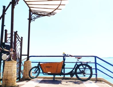 paysage vue mer et vélo vintage